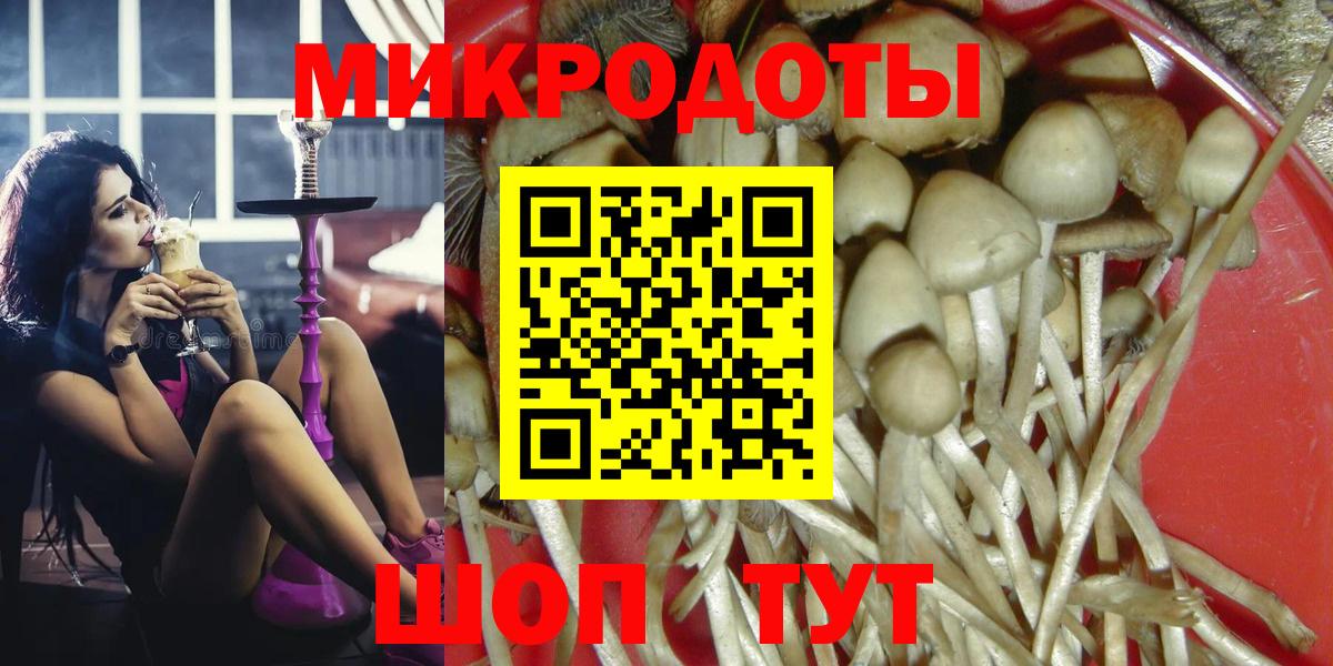 Зеленодольск  сколько стоит  Вход с VPN  Псилоцибиновые грибы Psilocybine cubensis 